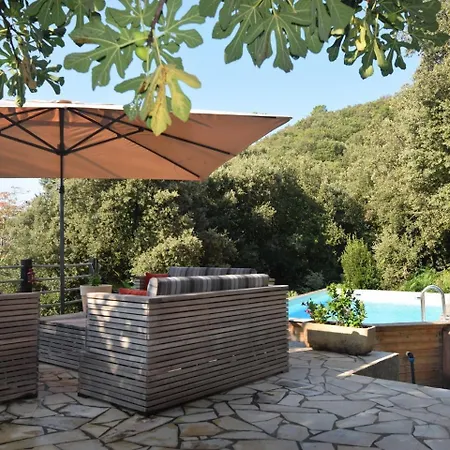 Modern With Swimming Pool Holiday home